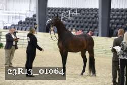 23R13_01064 thumbnail