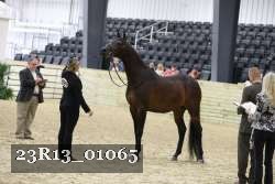 23R13_01065 thumbnail
