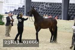 23R13_01066 thumbnail