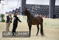 23R13_01067 thumbnail