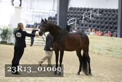 23R13_01069 thumbnail