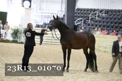 23R13_01070 thumbnail