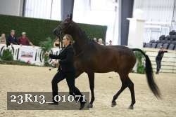 23R13_01071 thumbnail