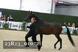 23R13_01072 thumbnail