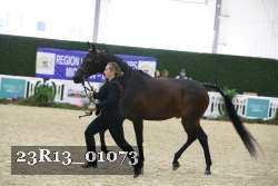 23R13_01073 thumbnail