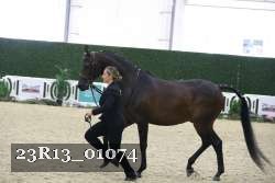 23R13_01074 thumbnail