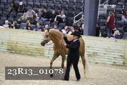 23R13_01078 thumbnail
