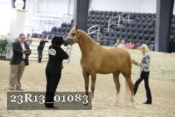 23R13_01083 thumbnail