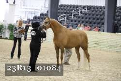 23R13_01084 thumbnail