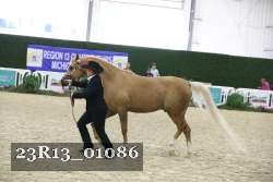 23R13_01086 thumbnail