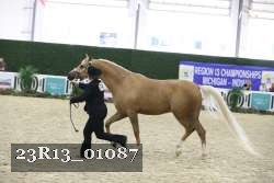 23R13_01087 thumbnail