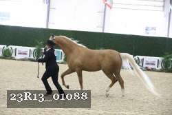 23R13_01088 thumbnail