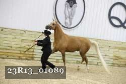 23R13_01089 thumbnail