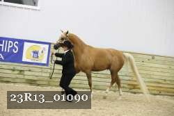 23R13_01090 thumbnail