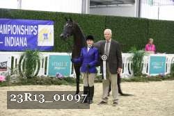 23R13_01097 thumbnail