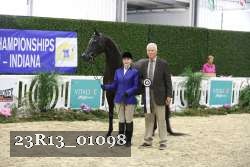 23R13_01098 thumbnail