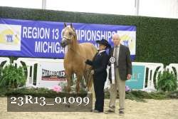 23R13_01099 thumbnail