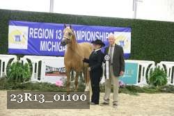 23R13_01100 thumbnail