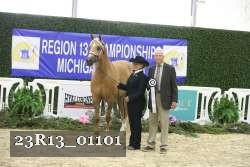 23R13_01101 thumbnail