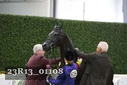 23R13_01108 thumbnail
