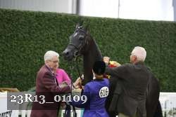23R13_01109 thumbnail