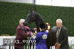 23R13_01110 thumbnail