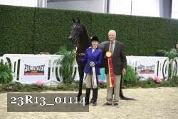 23R13_01114 thumbnail