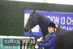 23R13_01115 thumbnail