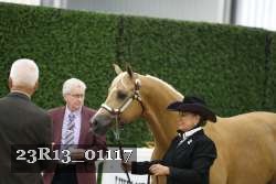 23R13_01117 thumbnail