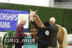 23R13_01118 thumbnail