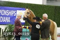 23R13_01119 thumbnail
