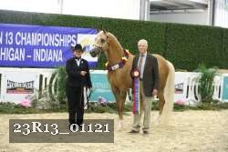 23R13_01121 thumbnail