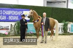 23R13_01122 thumbnail