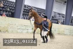 23R13_01124 thumbnail