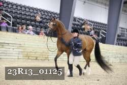 23R13_01125 thumbnail