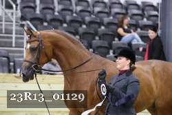 23R13_01129 thumbnail