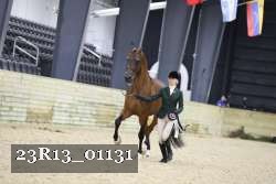 23R13_01131 thumbnail