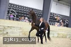 23R13_01136 thumbnail