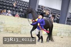 23R13_01142 thumbnail