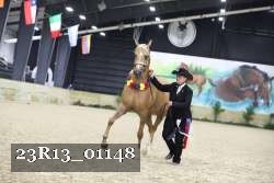 23R13_01148 thumbnail