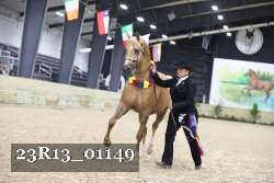23R13_01149 thumbnail