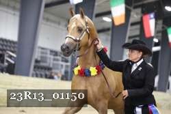 23R13_01150 thumbnail