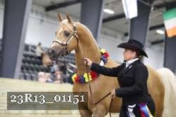 23R13_01151 thumbnail