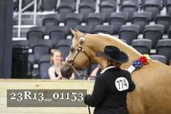 23R13_01153 thumbnail