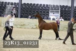 23R13_01231 thumbnail