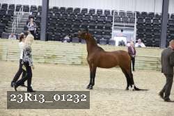 23R13_01232 thumbnail