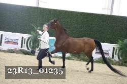 23R13_01235 thumbnail