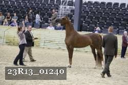 23R13_01240 thumbnail