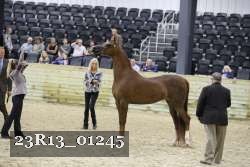 23R13_01245 thumbnail