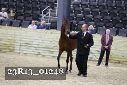 23R13_01248 thumbnail